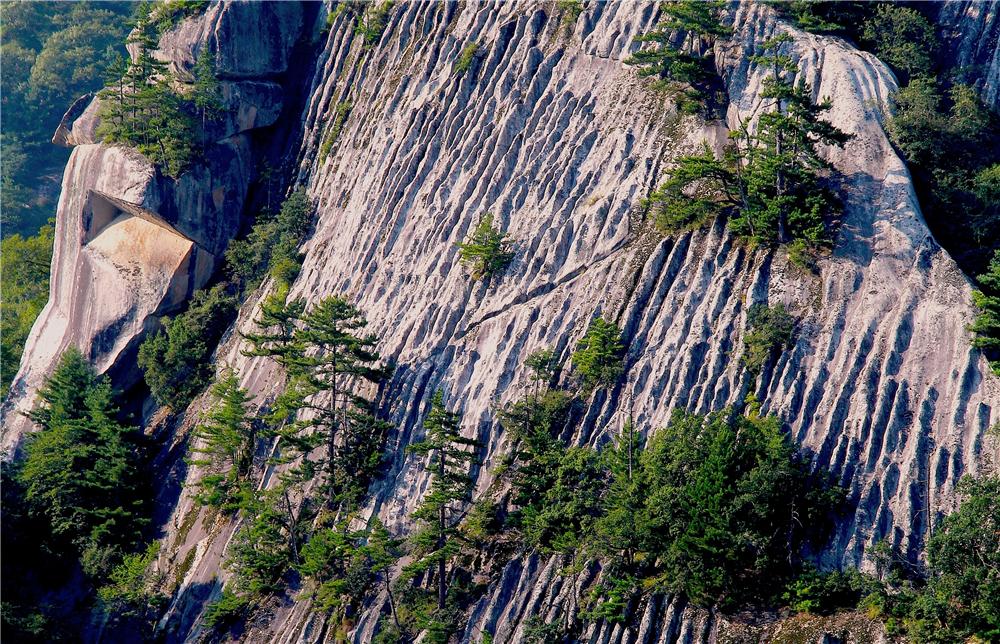 ◆木王山景區(qū)(國(guó)家AAAA級(jí)旅游景區(qū))
