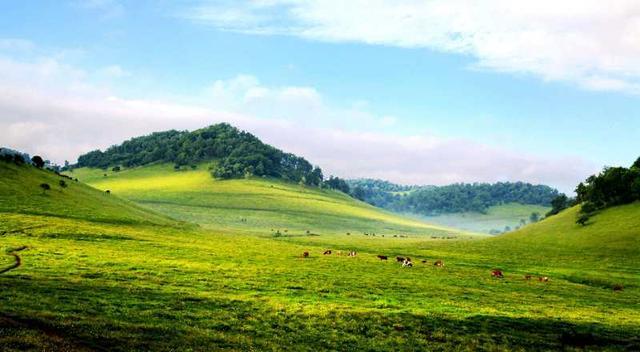 ◆關(guān)山草原風(fēng)景名勝區(qū)(國家AAAA級旅游景區(qū))